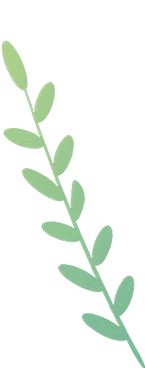 【高考阅读·真题词汇冲刺】Day8 选项避坑词|少错一半的阅读终极技巧 第3张