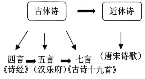 2026上海中考一模分类汇编:综合运用 第6张
