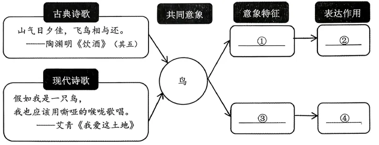 2026上海中考一模分类汇编:综合运用 第10张