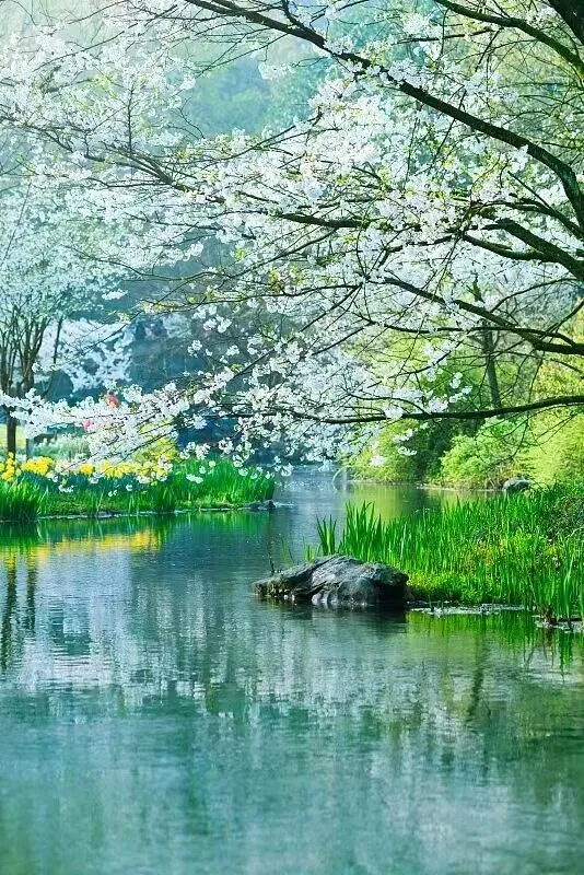 安徽第一卷•八年级第二学期期中评估数学试卷及答案 第9张