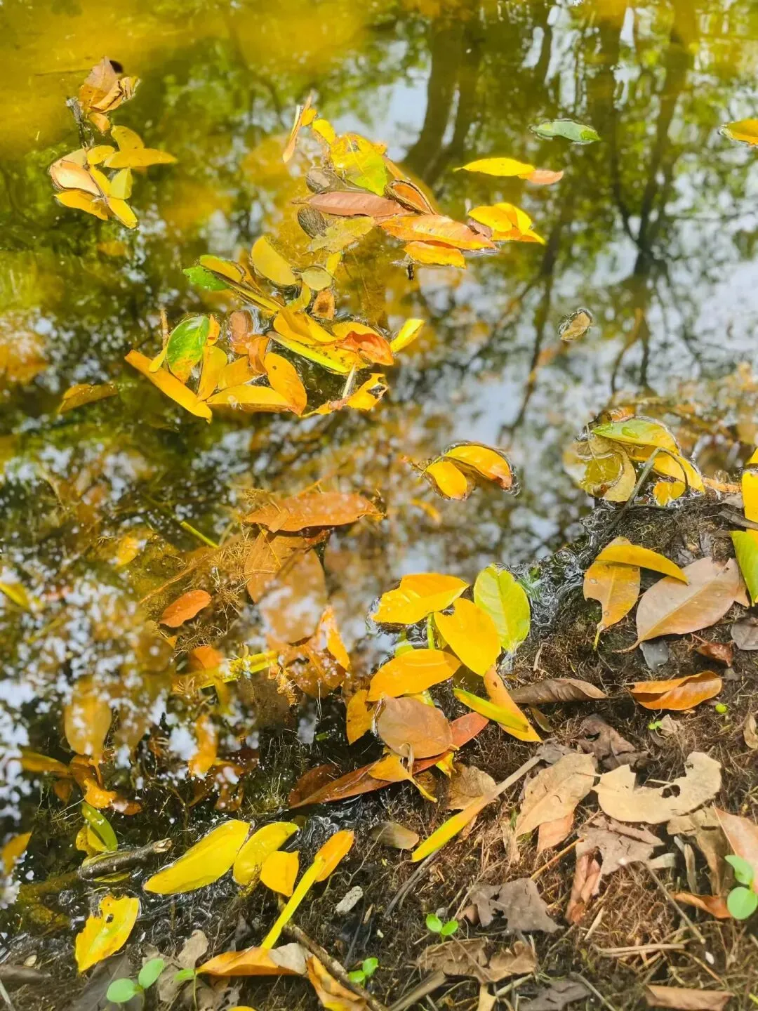 GSP 仓储/保管员专题培训考核试卷(含答案) 第1张