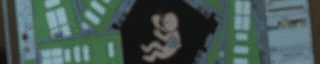 转发福利|免费领取北电导演系考研十一年真题&解析 第1张