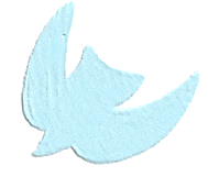 【中考专栏】一模“体检”,中考蓄力 第8张