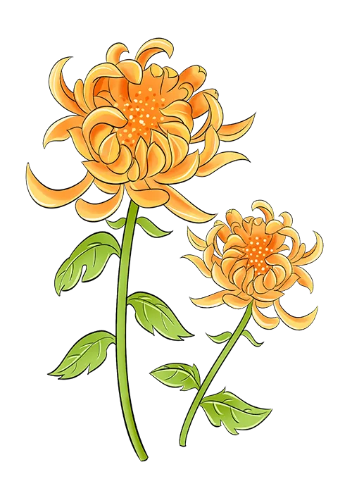 中考改革新时代,文明素养托未来 第37张