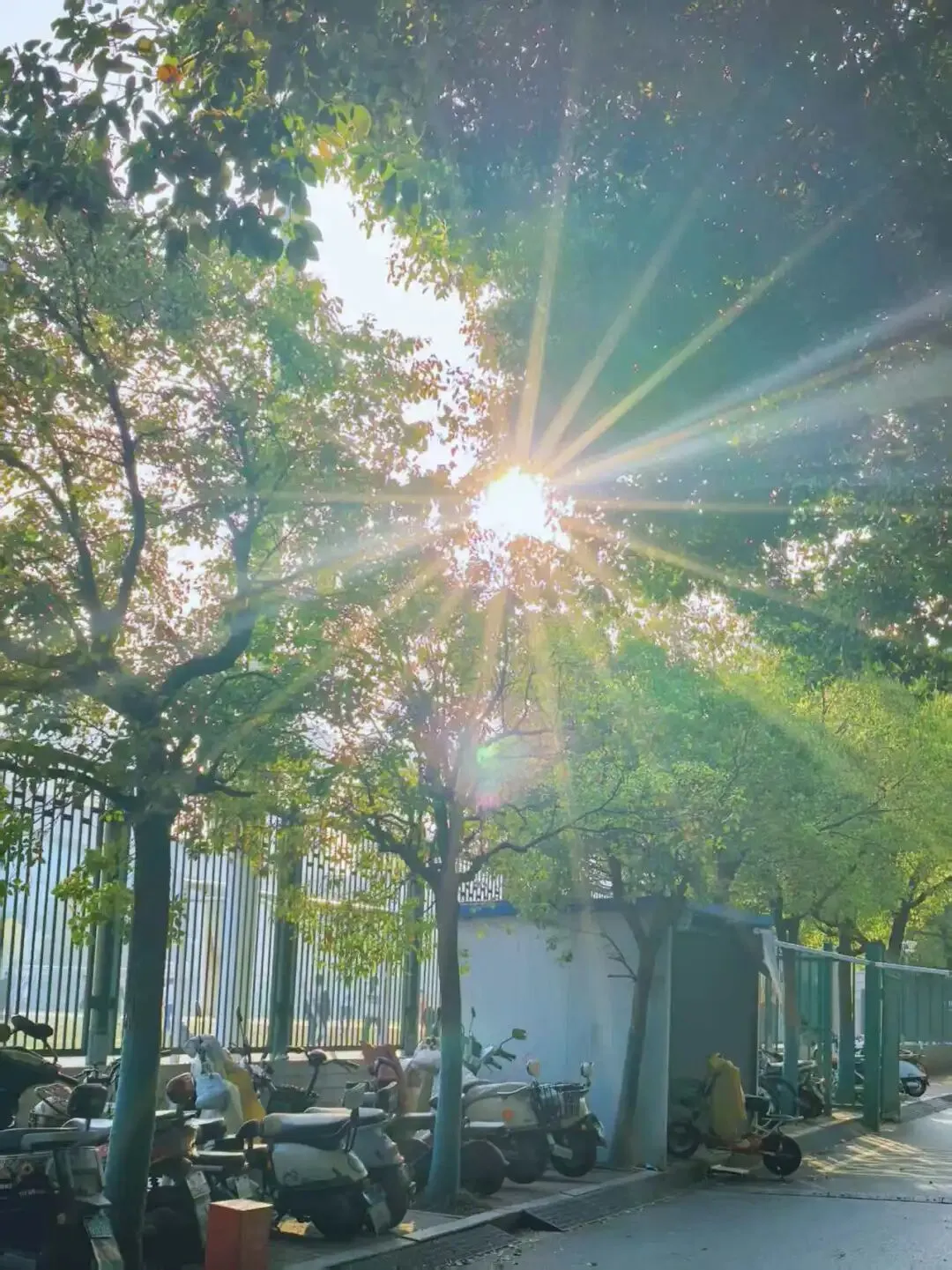 中考高分作文(校园青春类)|笔尖下的青春答卷 第3张