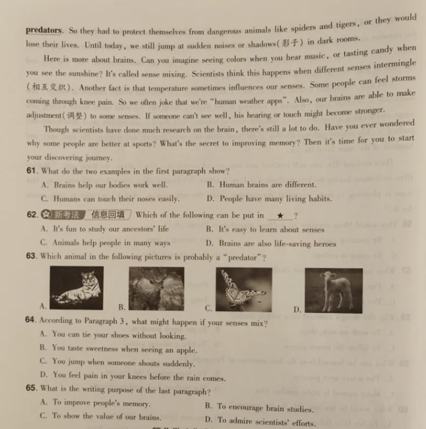 中考英语阅读理解C篇(2025武汉) 第3张