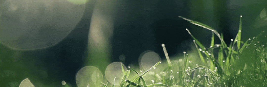 警惕“减负”悖论:中考科目减少了,孩子为什么更累了? 第1张