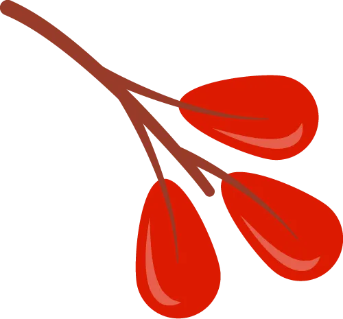 中考助力站 | 与杂念做朋友 第7张