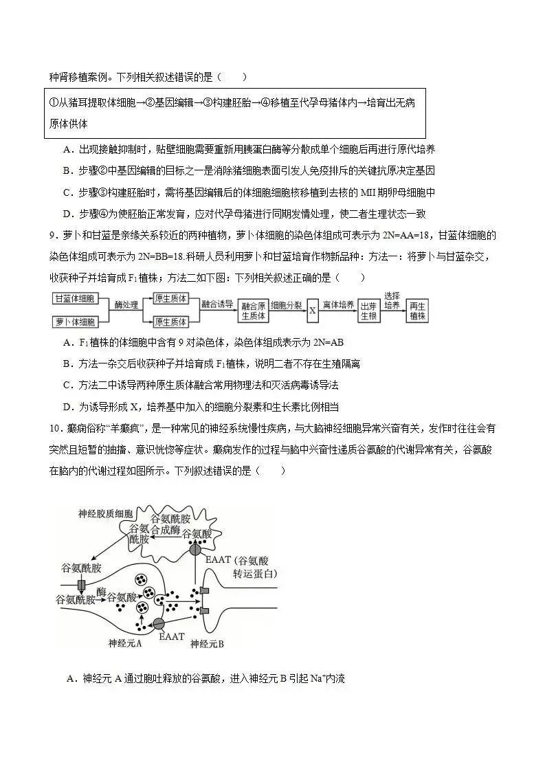 《高中试卷》四川省宜宾市普通高中2026届高三下学期第二次诊断性测试生物(含答案) 第4张