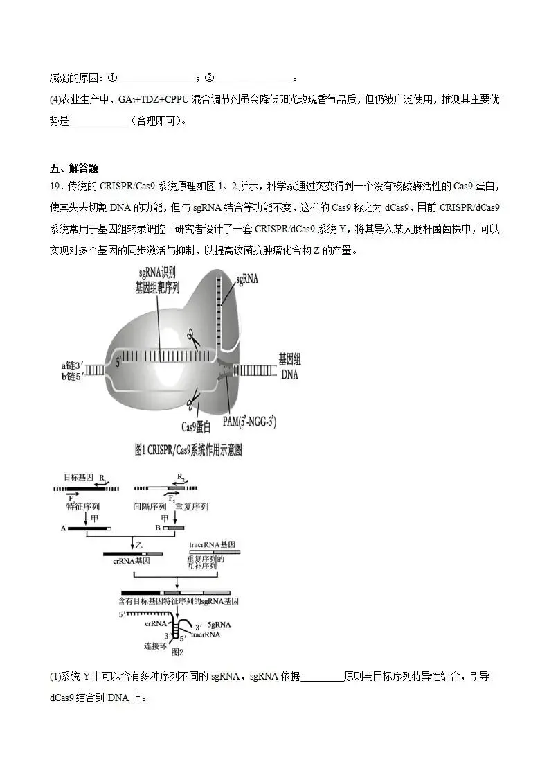 《高中试卷》四川省宜宾市普通高中2026届高三下学期第二次诊断性测试生物(含答案) 第10张