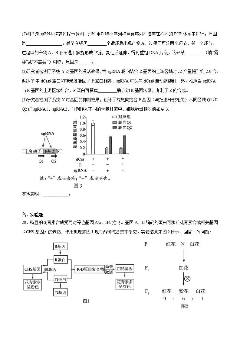 《高中试卷》四川省宜宾市普通高中2026届高三下学期第二次诊断性测试生物(含答案) 第11张
