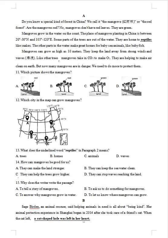 期中将至,别慌!这套真题卷,帮孩子稳住期中排名! 第5张