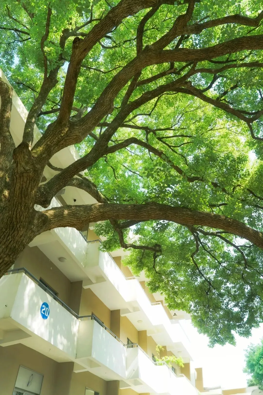 家长必看:2026届中考关键时间轴及注意事项 第1张