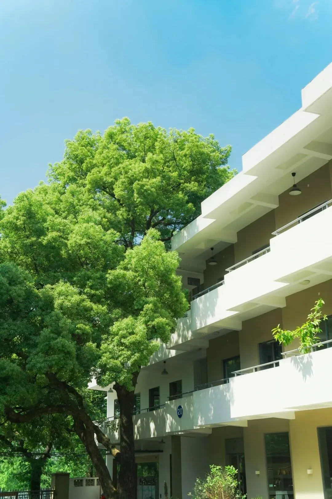 家长必看:2026届中考关键时间轴及注意事项 第2张