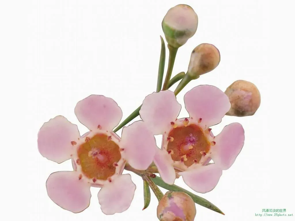 《红星照耀中国》中考填空题(二) 第1张