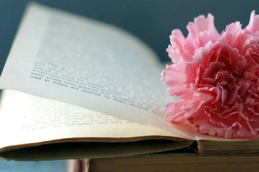 《为什么我的高考试卷总是白纸啊?》欣欣李教授【大结局-免费TXT】 第3张