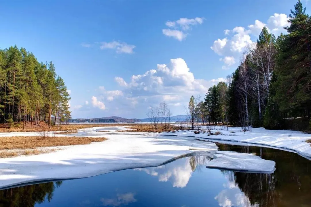 《为什么我的高考试卷总是白纸啊?》欣欣李教授【大结局-免费TXT】 第5张