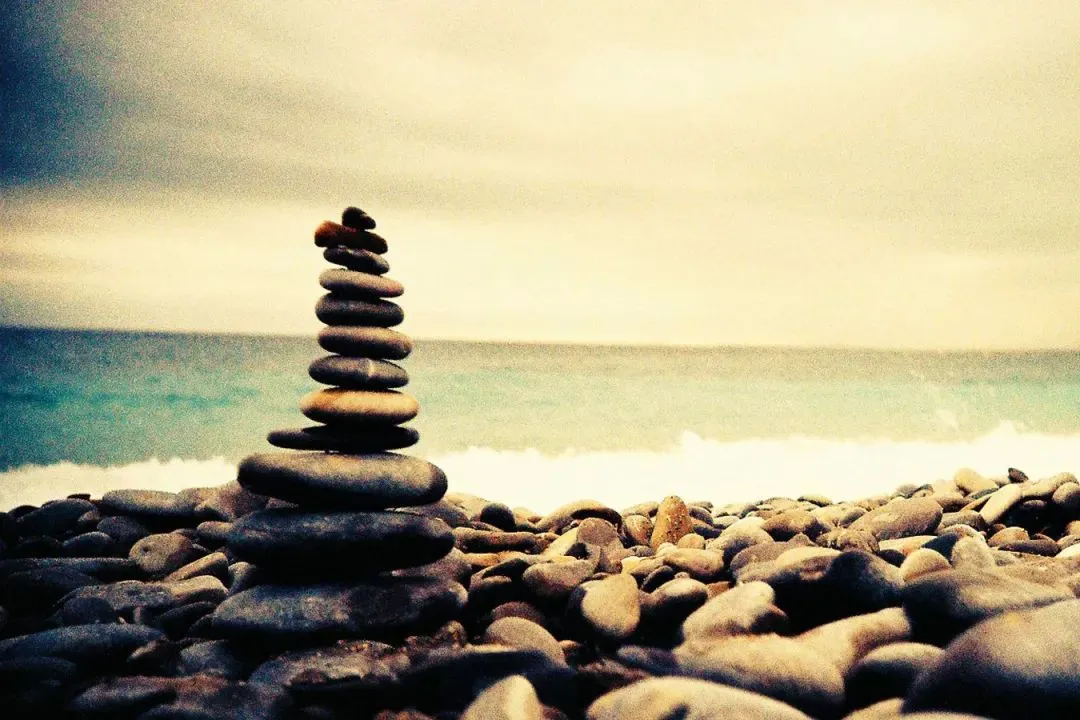 《为什么我的高考试卷总是白纸啊?》欣欣李教授【大结局-免费TXT】 第6张