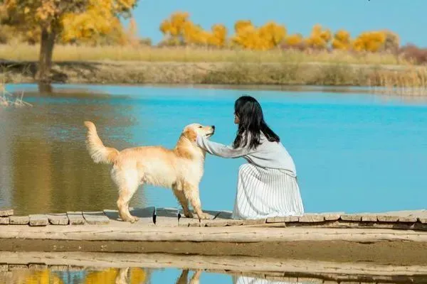 《为什么我的高考试卷总是白纸啊?》欣欣李教授【大结局-免费TXT】 第7张