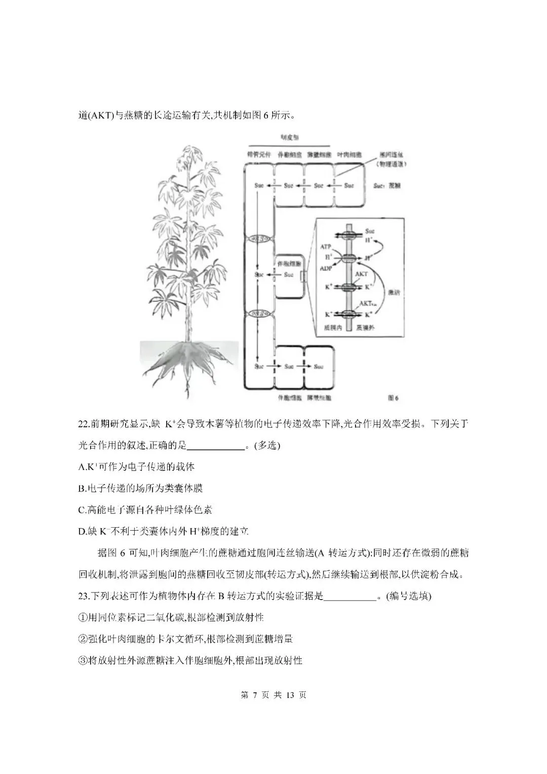 2026届上海市杨浦区高三二模生物试卷(含答案) 第7张