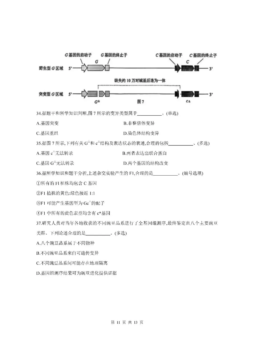 2026届上海市杨浦区高三二模生物试卷(含答案) 第11张
