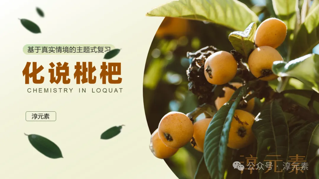 中考复习专题:化说枇杷(酸的化学性质) 第5张