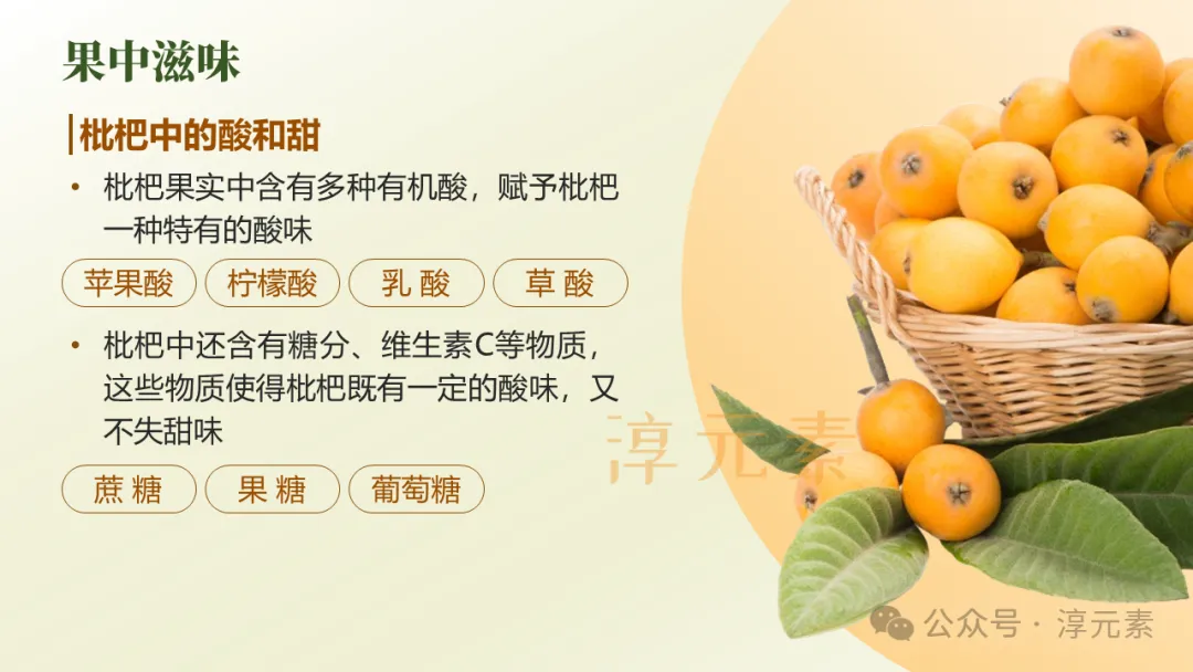 中考复习专题:化说枇杷(酸的化学性质) 第6张