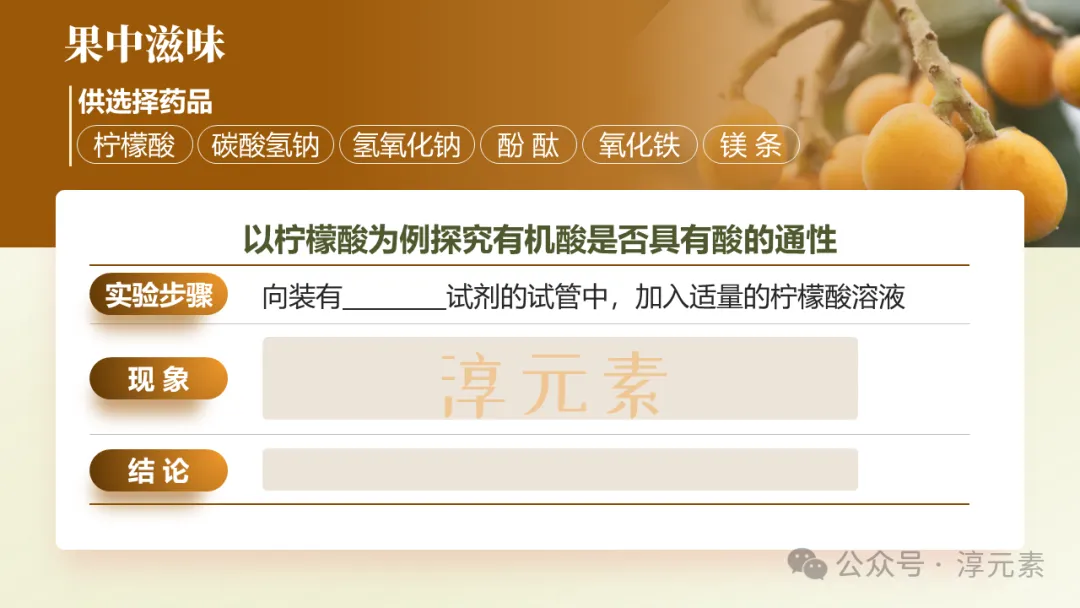 中考复习专题:化说枇杷(酸的化学性质) 第8张