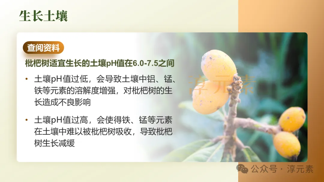 中考复习专题:化说枇杷(酸的化学性质) 第10张