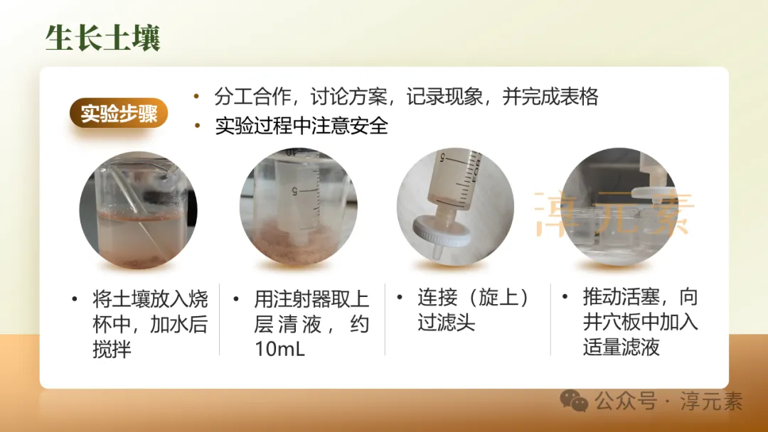 中考复习专题:化说枇杷(酸的化学性质) 第11张