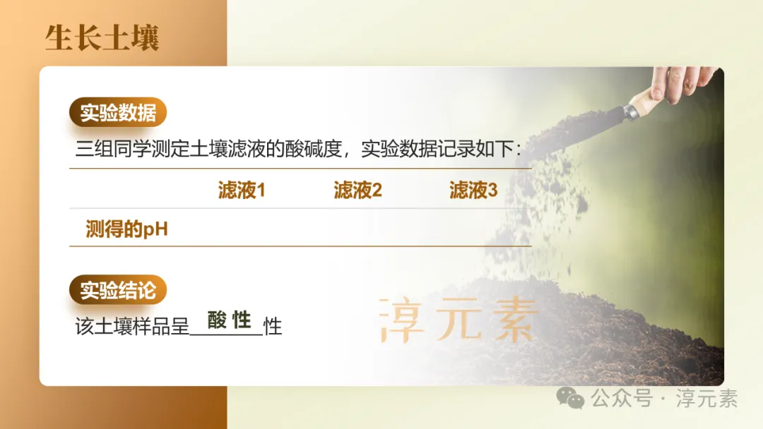 中考复习专题:化说枇杷(酸的化学性质) 第12张