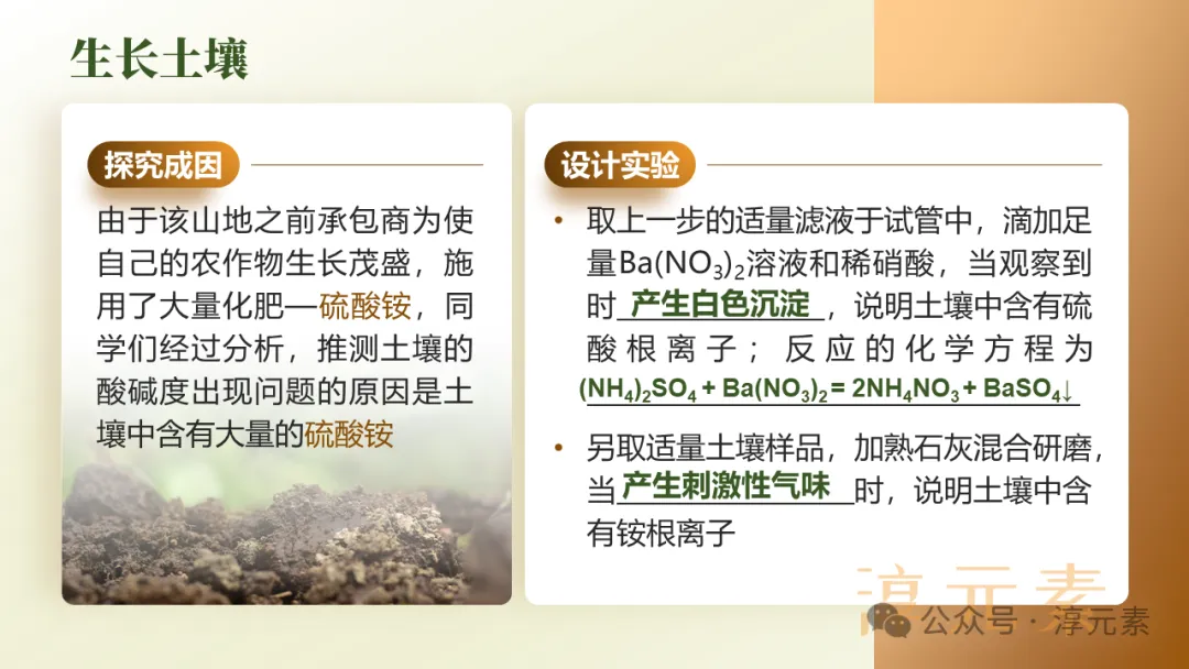 中考复习专题:化说枇杷(酸的化学性质) 第13张