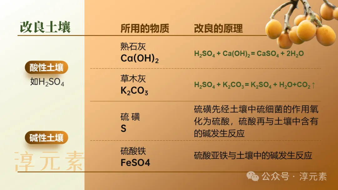 中考复习专题:化说枇杷(酸的化学性质) 第14张