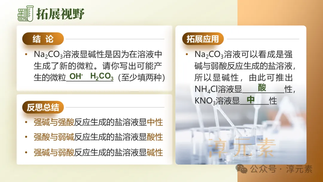 中考复习专题:化说枇杷(酸的化学性质) 第18张