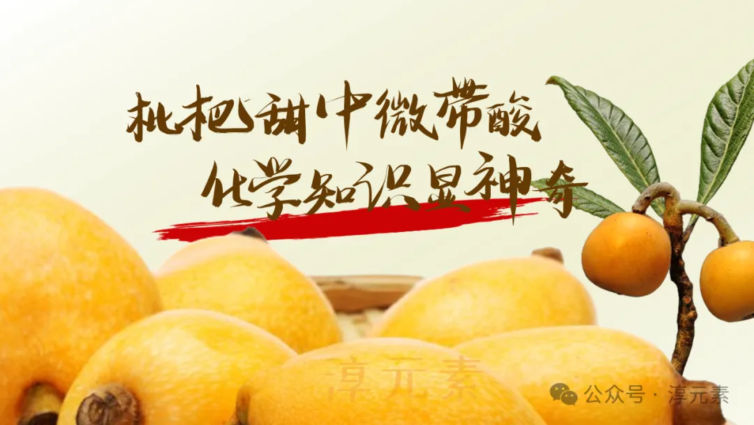 中考复习专题:化说枇杷(酸的化学性质) 第22张