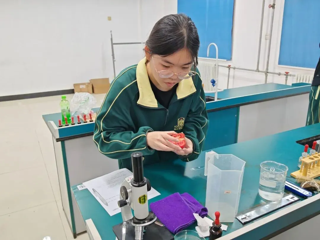 以实操砺本领 以匠心赴中考——记洛阳枫叶双语学校九年级理化生实验考试圆满收官 第15张