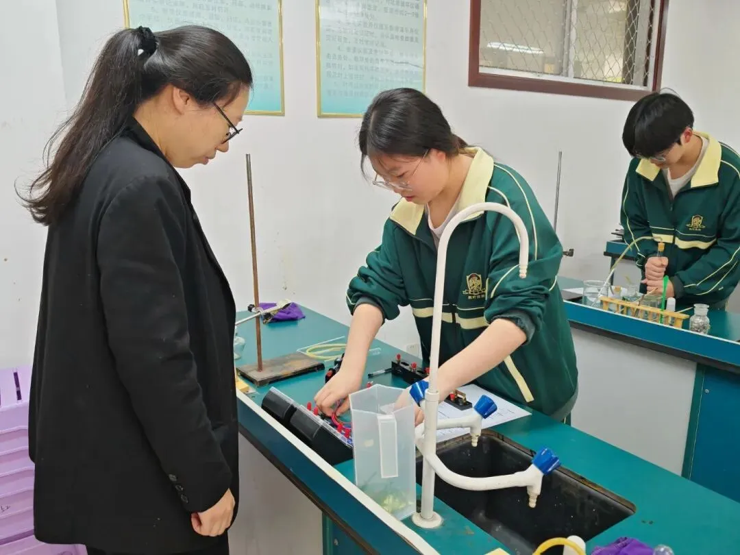 以实操砺本领 以匠心赴中考——记洛阳枫叶双语学校九年级理化生实验考试圆满收官 第16张
