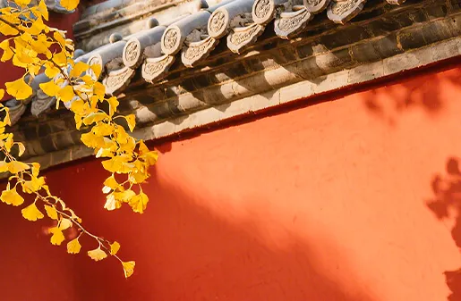 六级翻译真题--中华民族自强自立的精神 第2张