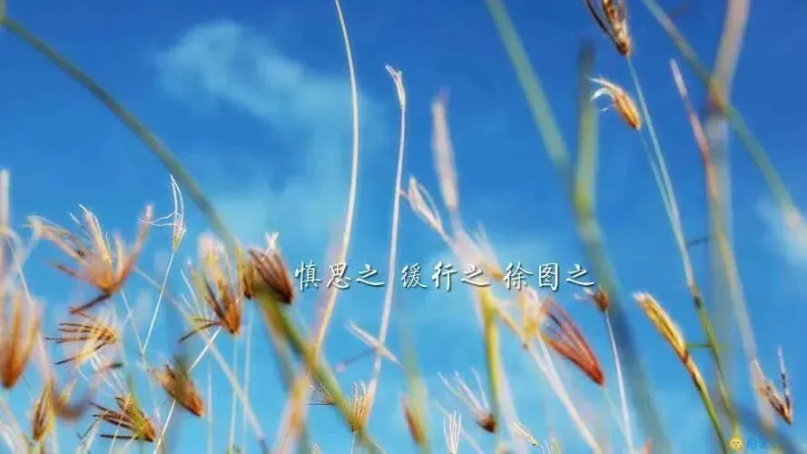 九年级中考英语阅读理解专项练附答案 第1张