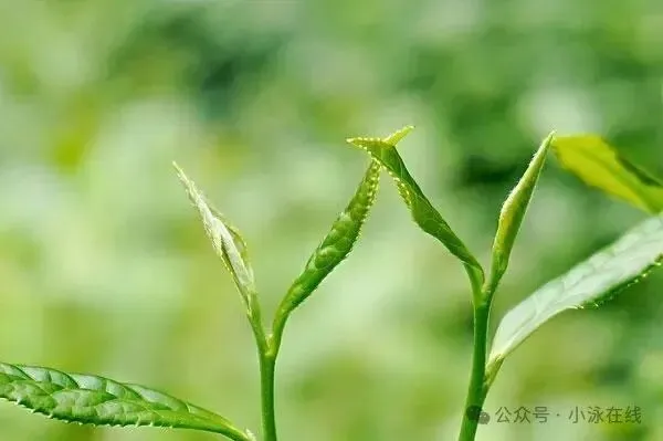 【495】初中数学中考复习中的盈不足 第2张