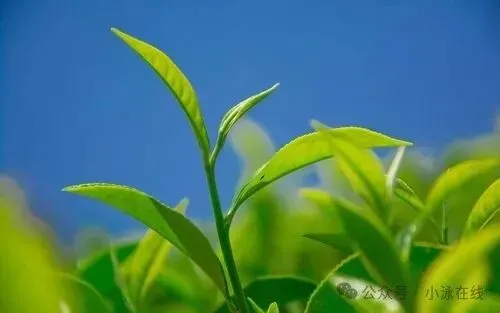 【495】初中数学中考复习中的盈不足 第5张