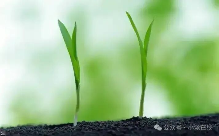 【495】初中数学中考复习中的盈不足 第6张