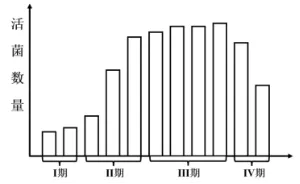 2026年哈师大附中东三省第二次模拟考试生物学科试题和答案(附word下载) ⊙ 第10张