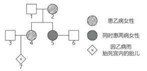 2026年哈师大附中东三省第二次模拟考试生物学科试题和答案(附word下载) ⊙ 第11张