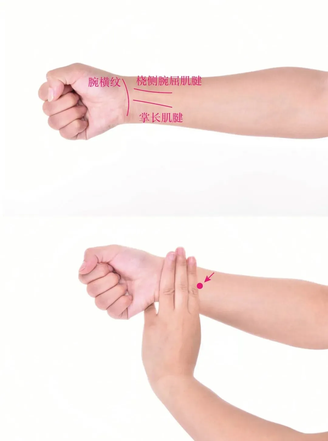 中考高考进入倒计时,孩子备考“脑力透支”?中医老专家有话说! 第2张