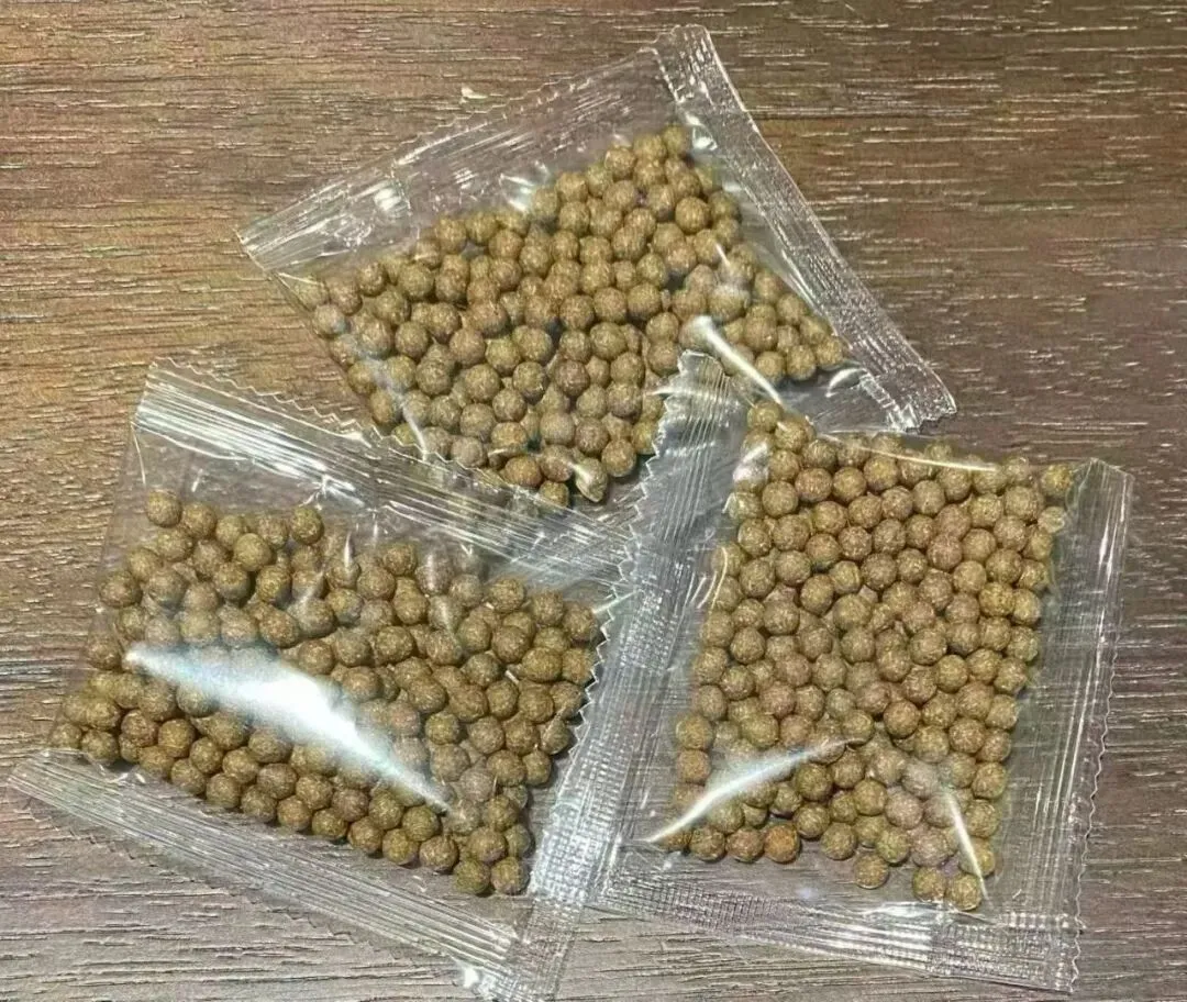 中考高考进入倒计时,孩子备考“脑力透支”?中医老专家有话说! 第5张