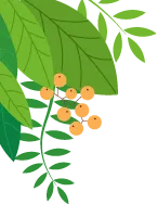 共研中考数学 明确备考方向——全市初中数学教研活动圆满举行 第2张