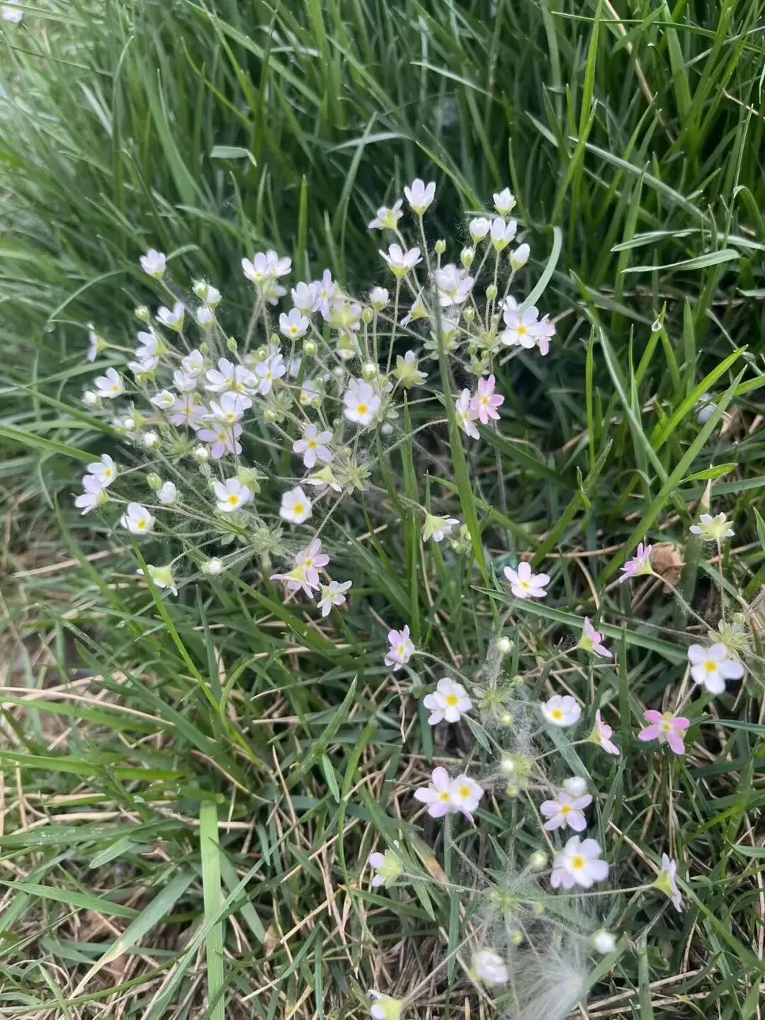 中考体育考试二三事 第1张