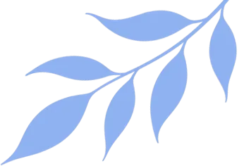 专家视导精准赋能 深耕课堂备战中考——世外教育集团专家组赴我校开展初三教学视导活动 第6张