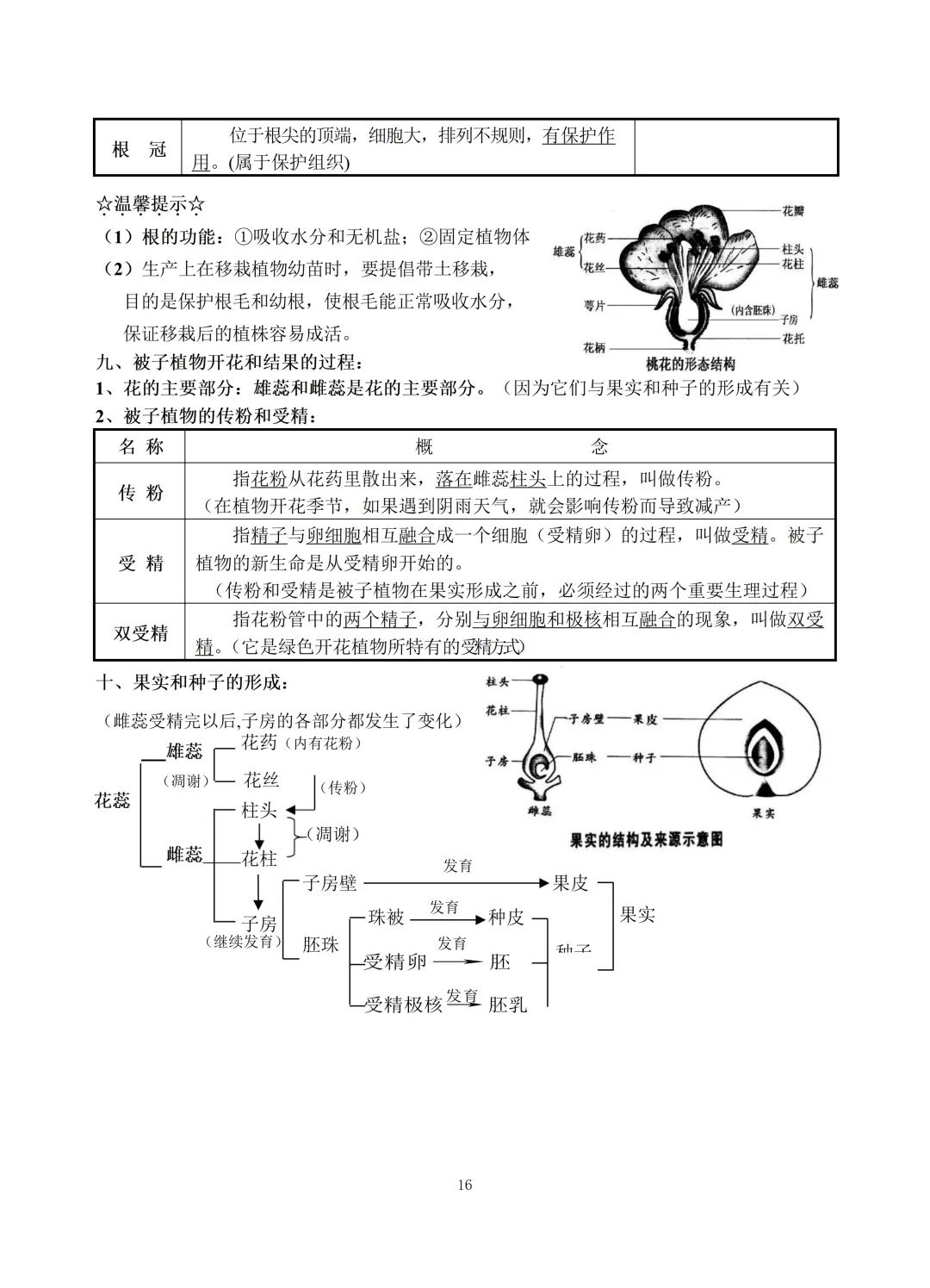 中考生物知识点总结(69页)-中考必备 第16张